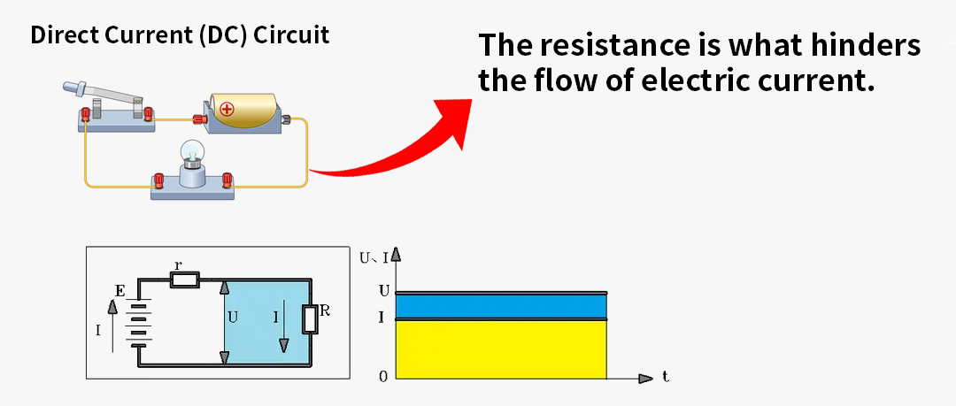 1755747665118612.jpg 未标题-2英文.jpg