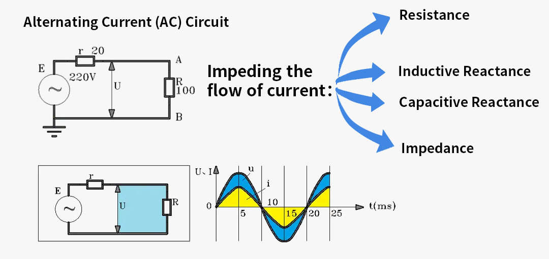 1755747678117498.jpg 未标题-3英文.jpg